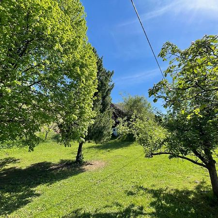 Ferienhuette Bosic Villa Baierdorf ภายนอก รูปภาพ