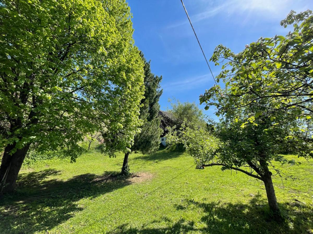 Ferienhuette Bosic Villa Baierdorf ภายนอก รูปภาพ