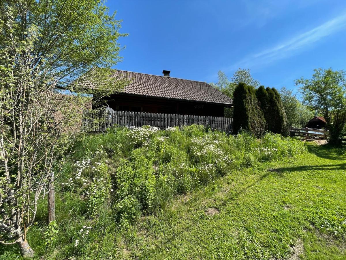 Ferienhuette Bosic Villa Baierdorf ภายนอก รูปภาพ